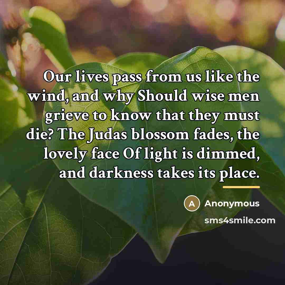 “Our lives pass from us like the wind, and why…” quote by Anonymous