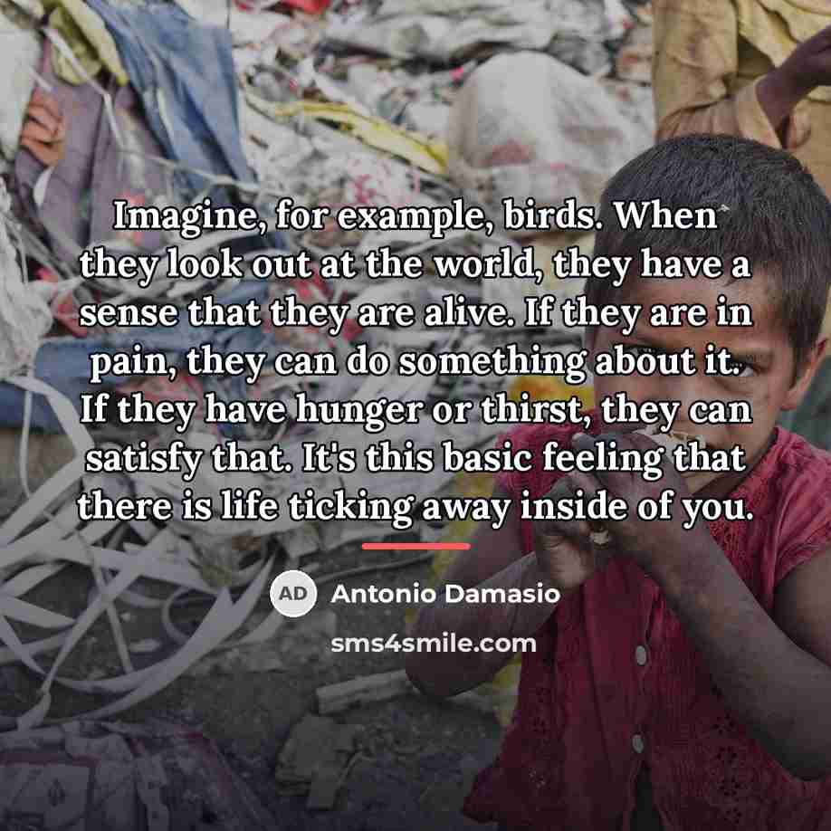 “Imagine, for example, birds. When they look out at the…” quote by Antonio Damasio