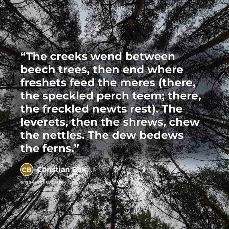“The creeks wend between beech trees, then end where freshets feed the meres (there, the speckled perch teem; there, the freckled newts rest). The leverets, then the shrews, chew the nettles. The dew bedews the ferns.” quote by Christian Bök