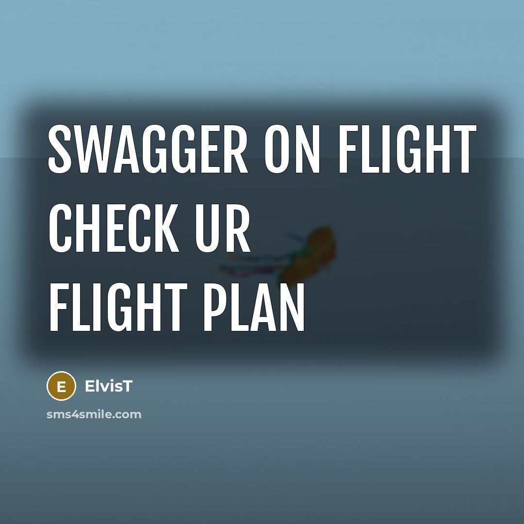 “Swagger on flight check ur flight plan” quote by ElvisT
