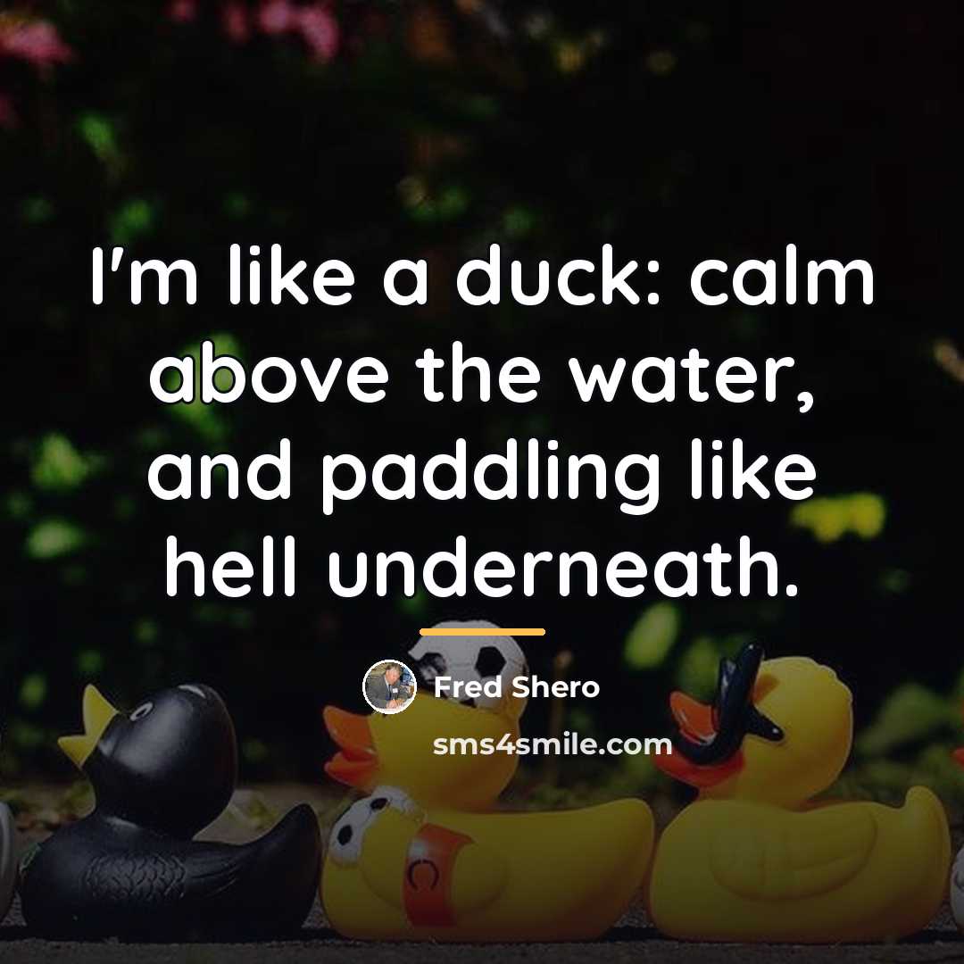 “I'm like a duck: calm above the water, and paddling…” quote by Fred Shero