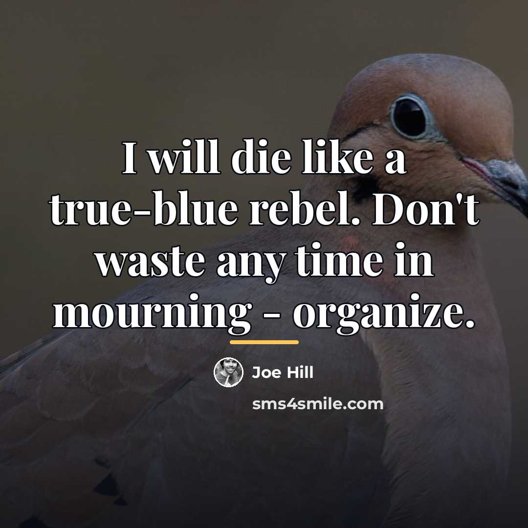 “I will die like a true-blue rebel. Don't waste any…” quote by Joe Hill