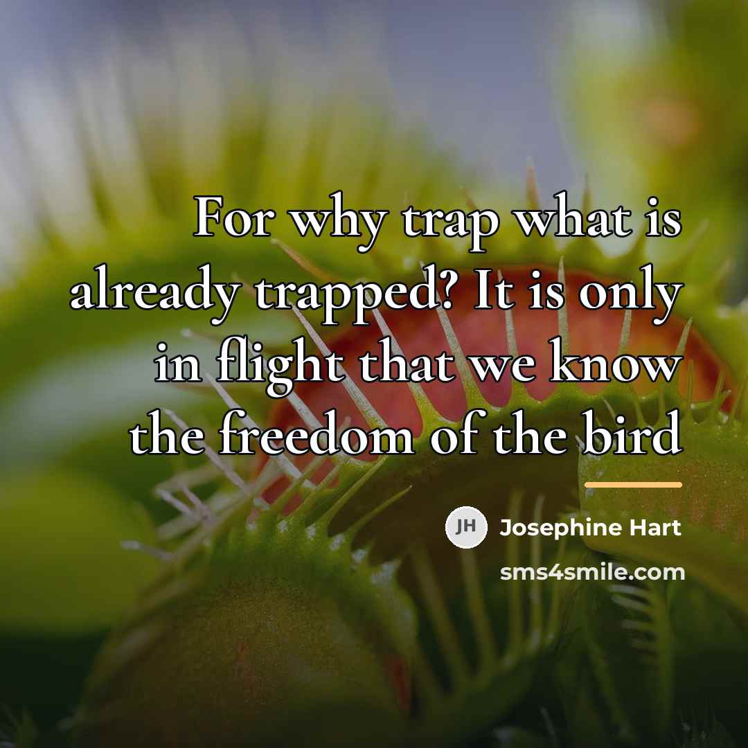“For why trap what is already trapped? It is only…” quote by Josephine Hart