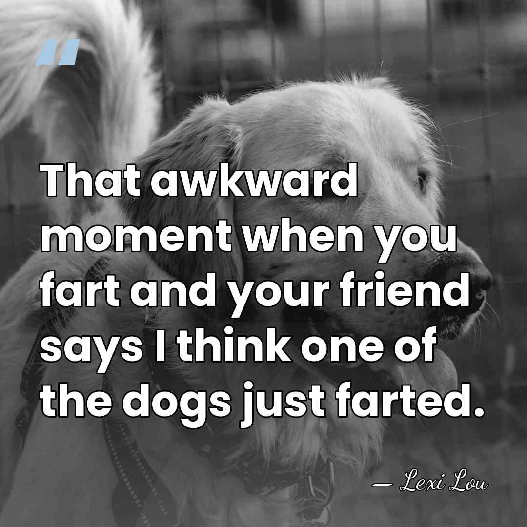 That awkward moment when you fart and your friend says I think&hellip; - Lexi Lou