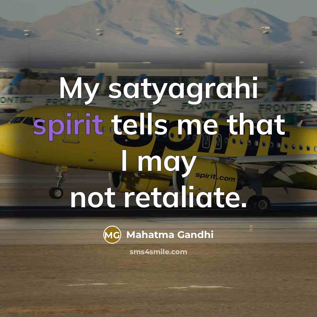 “My satyagrahi spirit tells me that I may not retaliate.…” quote by Mahatma Gandhi