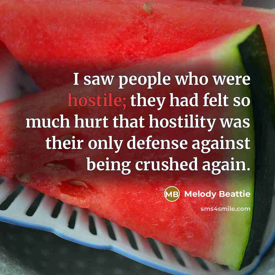 “I saw people who were hostile; they had felt so…” quote by Melody Beattie