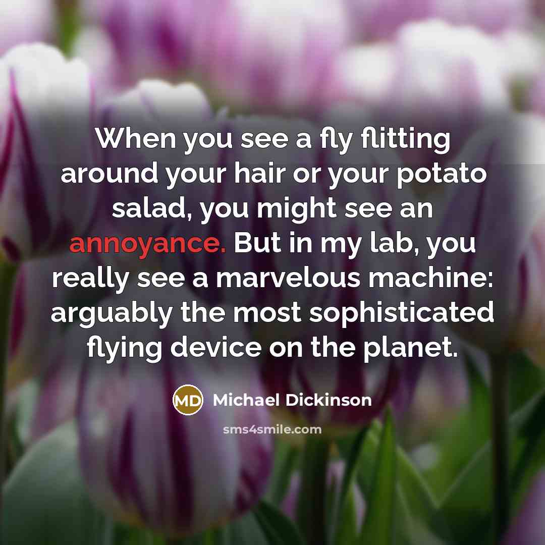 “When you see a fly flitting around your hair or…” quote by Michael Dickinson