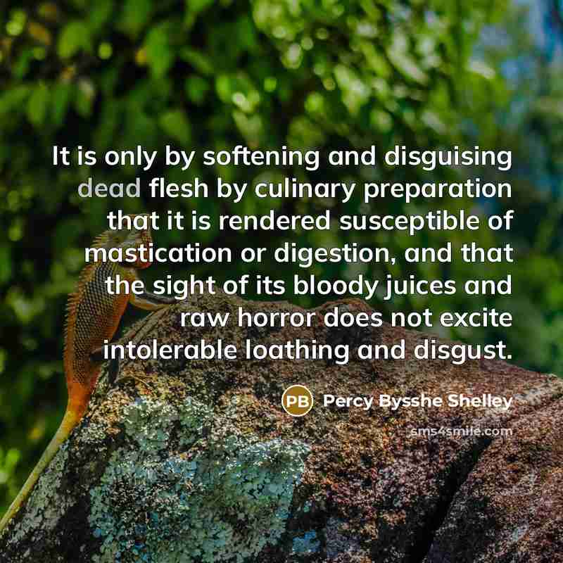“It is only by softening and disguising dead flesh by…” quote by Percy Bysshe Shelley