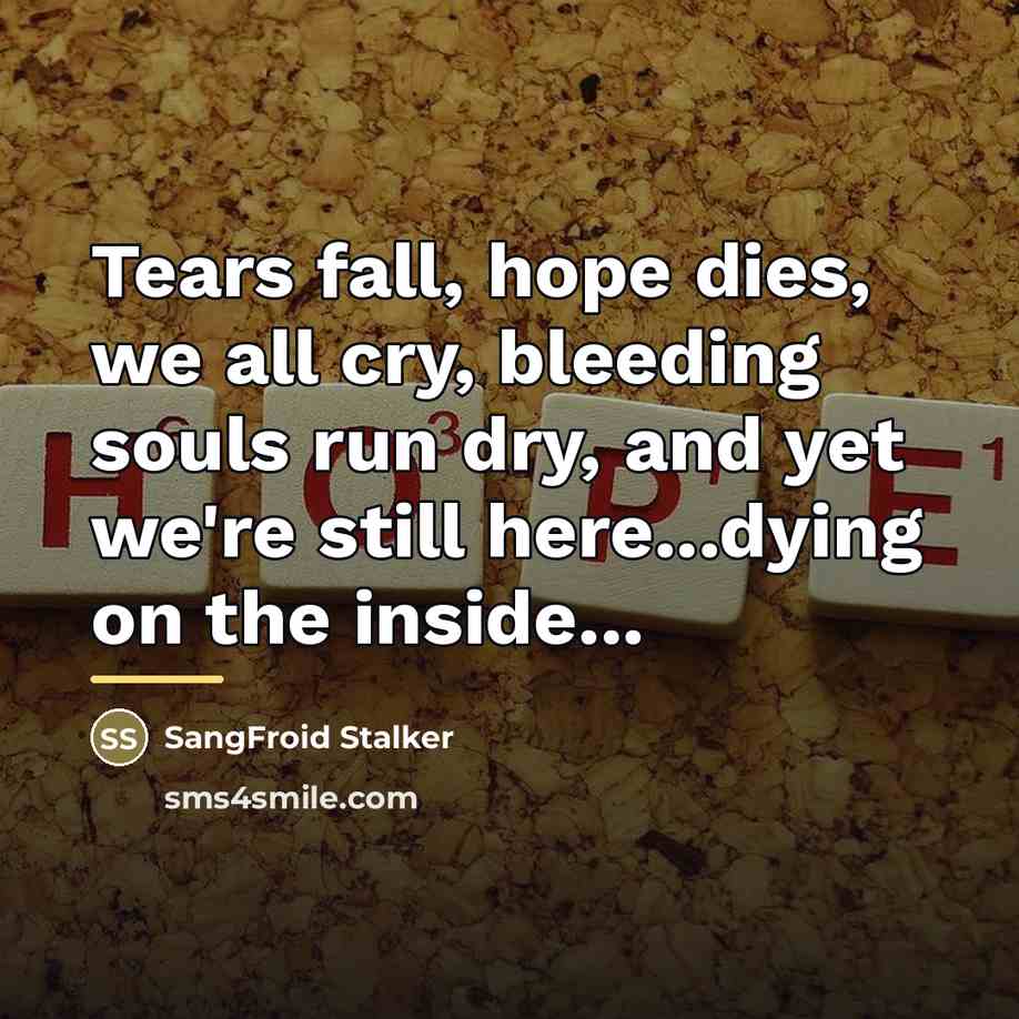 “Tears fall, hope dies, we all cry, bleeding souls run…” quote by SangFroid Stalker