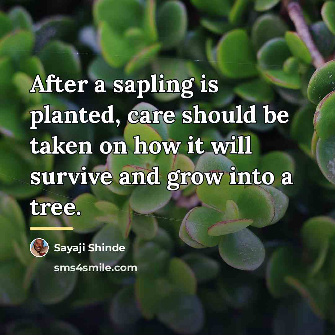 “After a sapling is planted, care should be taken on…” quote by Sayaji Shinde