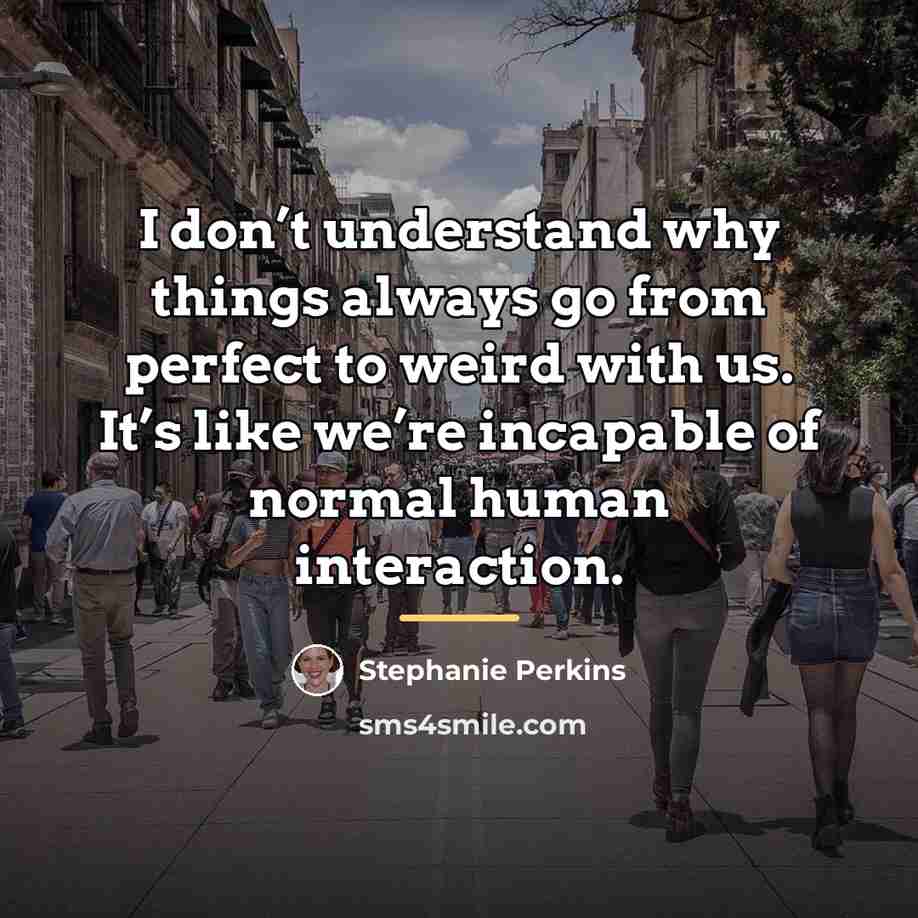 “I don’t understand why things always go from perfect to…” quote by Stephanie Perkins