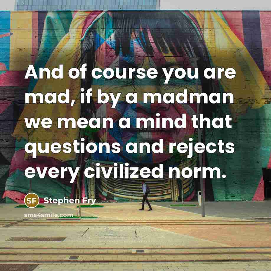 “And of course you are mad, if by a madman…” quote by Stephen Fry