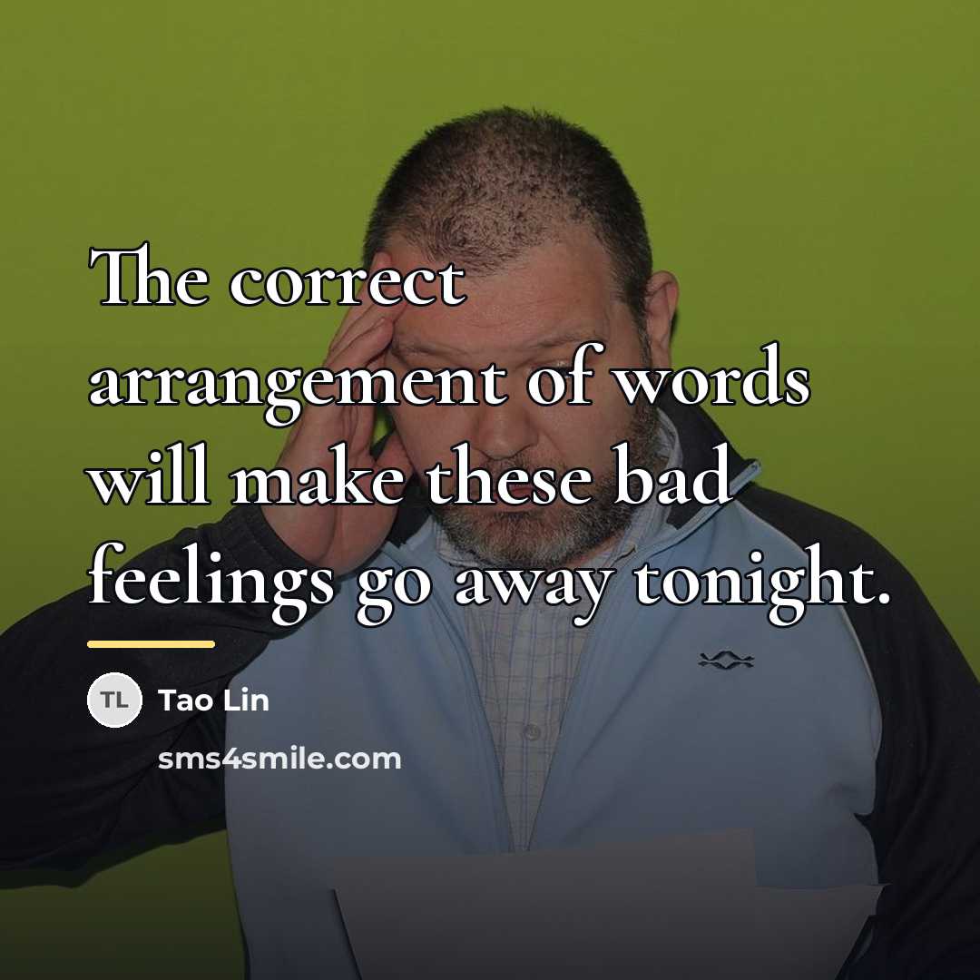 “The correct arrangement of words will make these bad feelings…” quote by Tao Lin