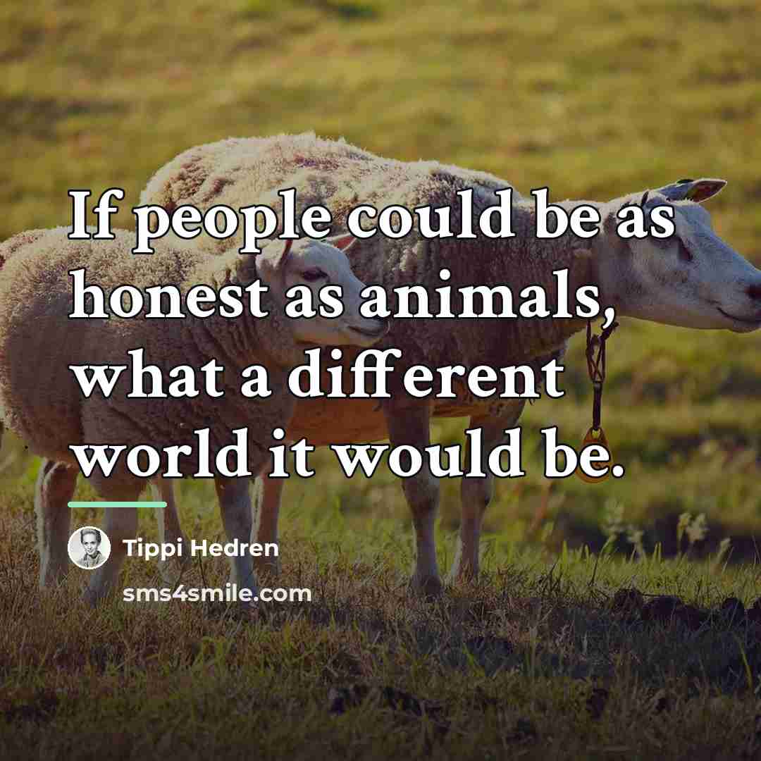 “If people could be as honest as animals, what a…” quote by Tippi Hedren
