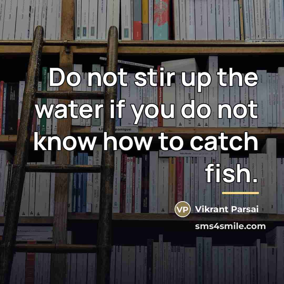 “Do not stir up the water if you do not…” quote by Vikrant Parsai