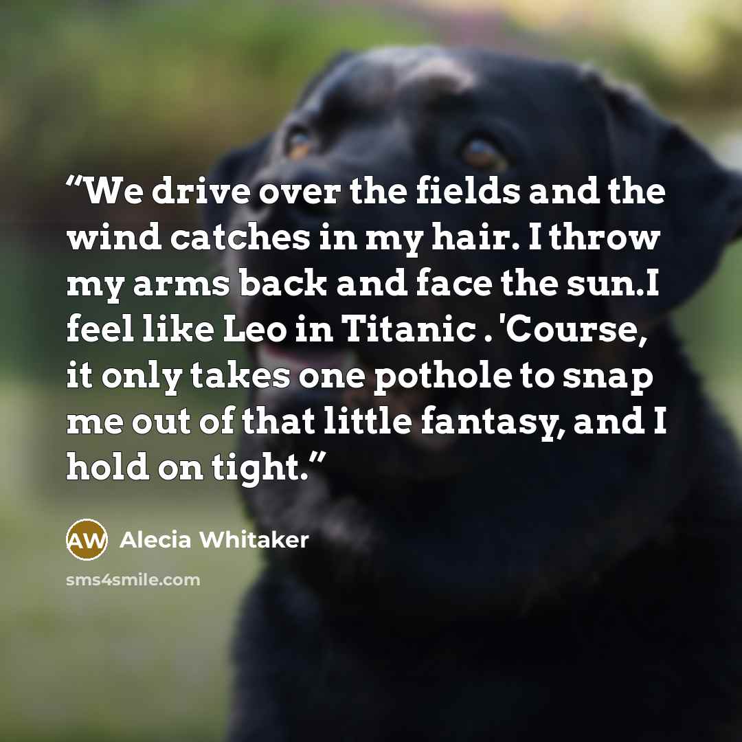 “We drive over the fields and the wind catches in my hair. I throw my arms back and face the sun.I feel like Leo in Titanic . 'Course, it only takes one pothole to snap me out of that little fantasy, and I hold on tight.” quote by Alecia Whitaker