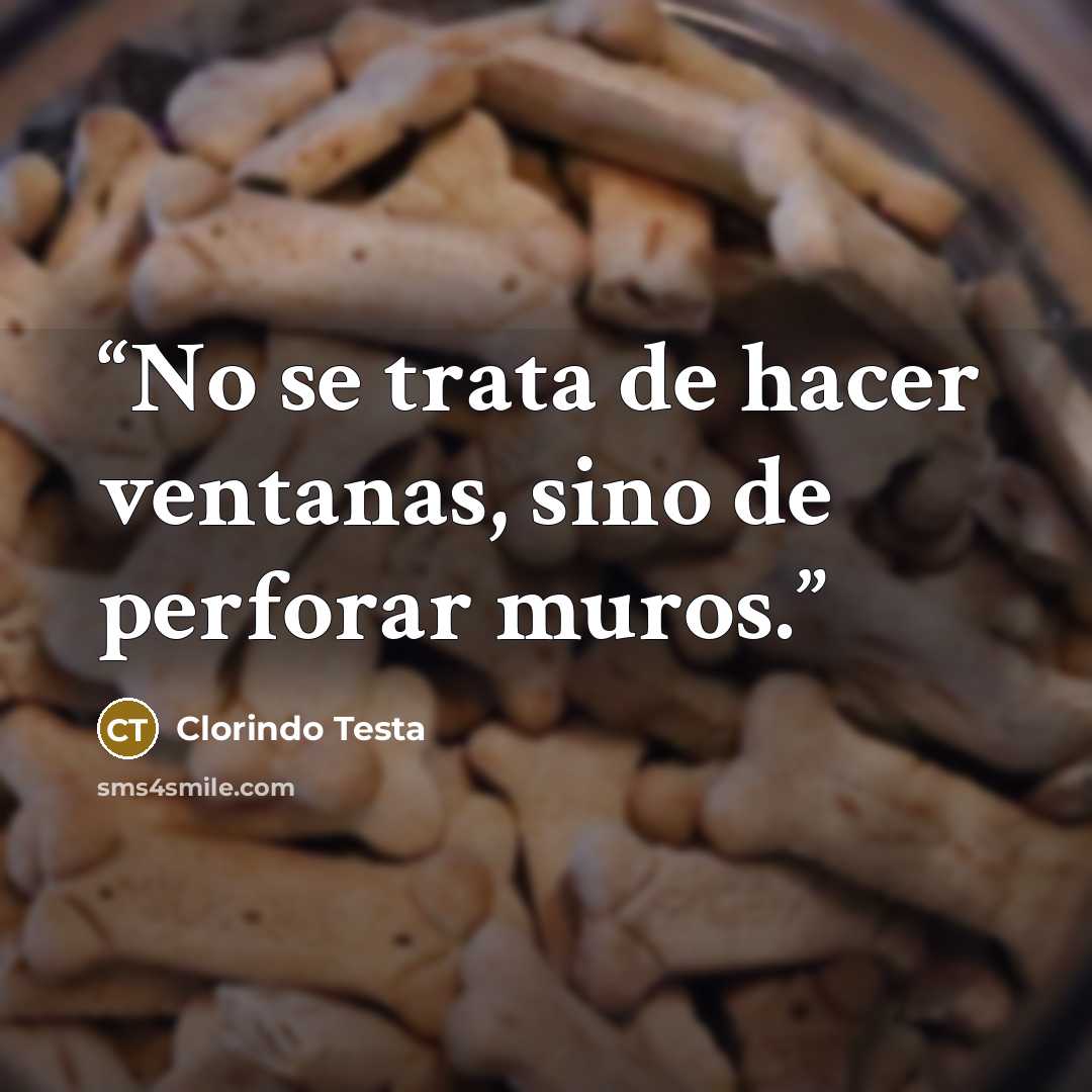 “No se trata de hacer ventanas, sino de perforar muros.” quote by Clorindo Testa