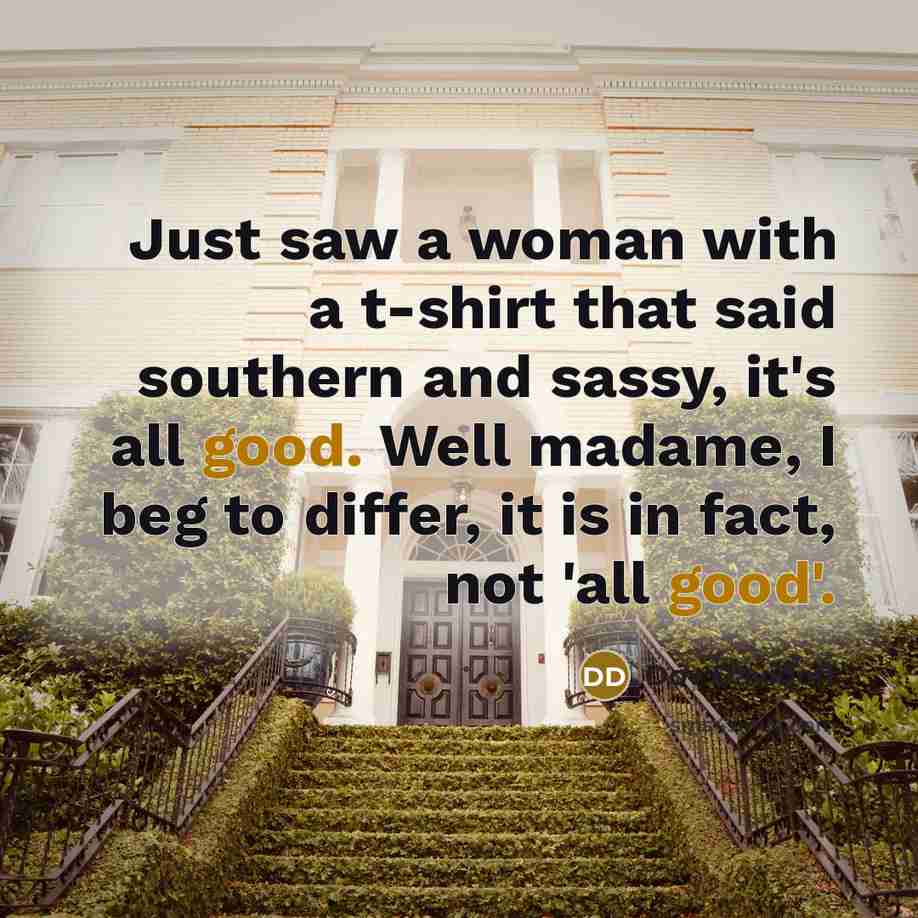 “Just saw a woman with a t-shirt that said southern…” quote by Dov Davidoff