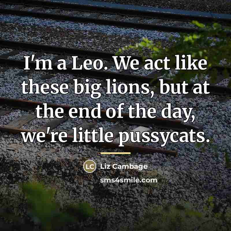 “I'm a Leo. We act like these big lions, but…” quote by Liz Cambage