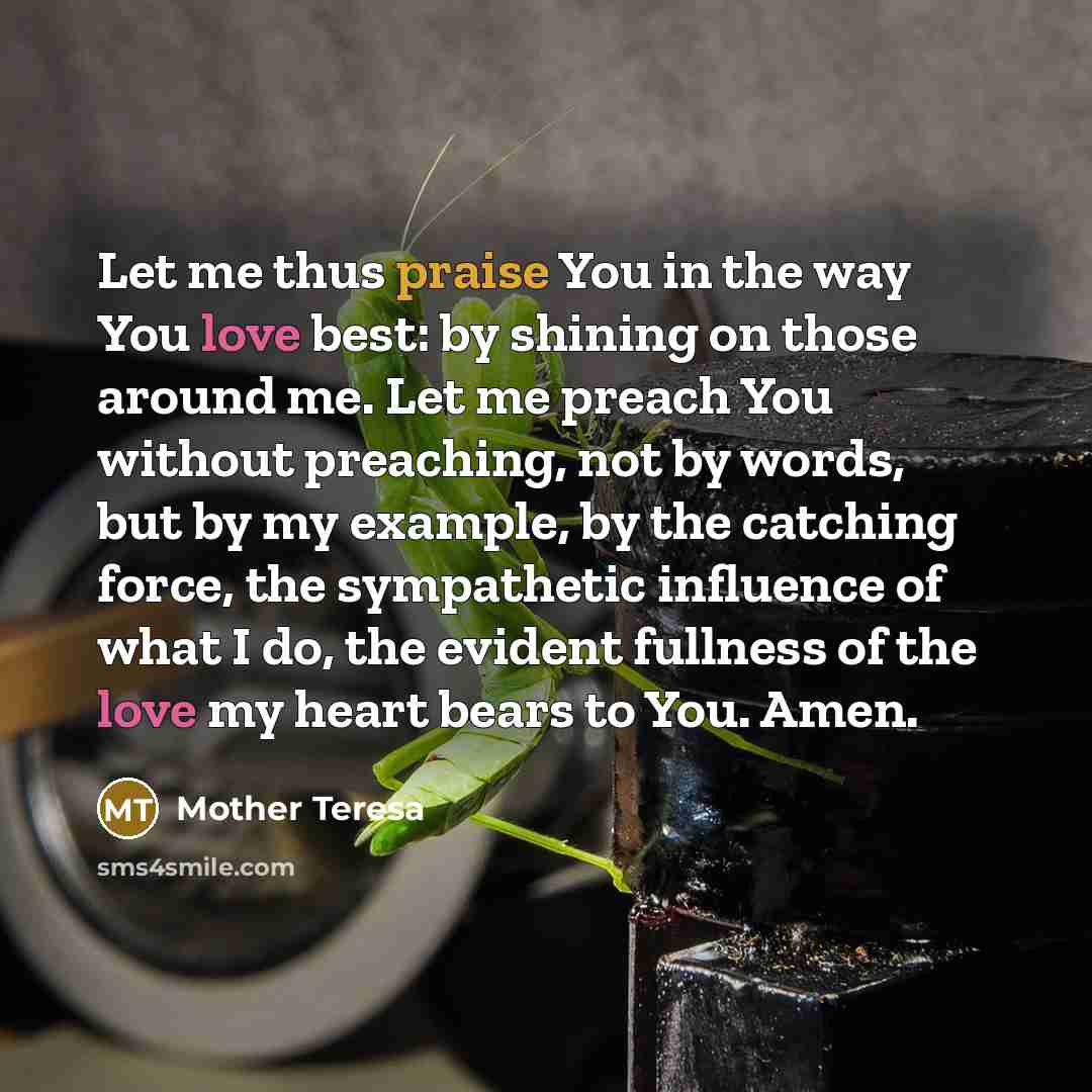 “Let me thus praise You in the way You love…” quote by Mother Teresa