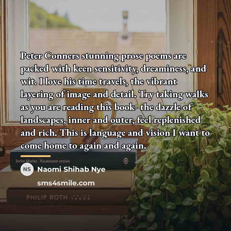 “Peter Conners stunning prose poems are packed with keen sensitivity,…” quote by Naomi Shihab Nye