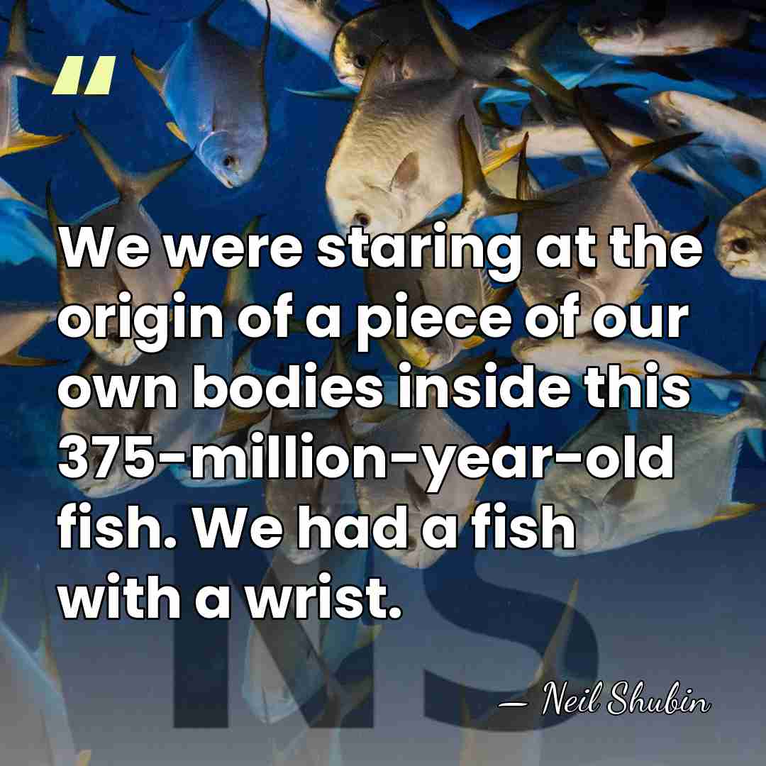 We were staring at the origin of a piece of our own&hellip; - Neil Shubin