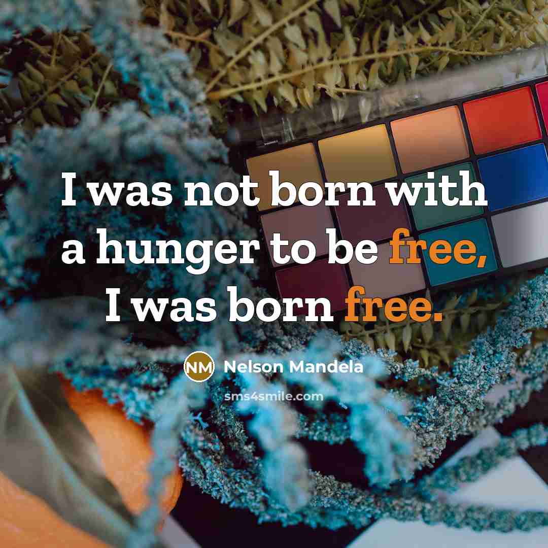 “I was not born with a hunger to be free,…” quote by Nelson Mandela
