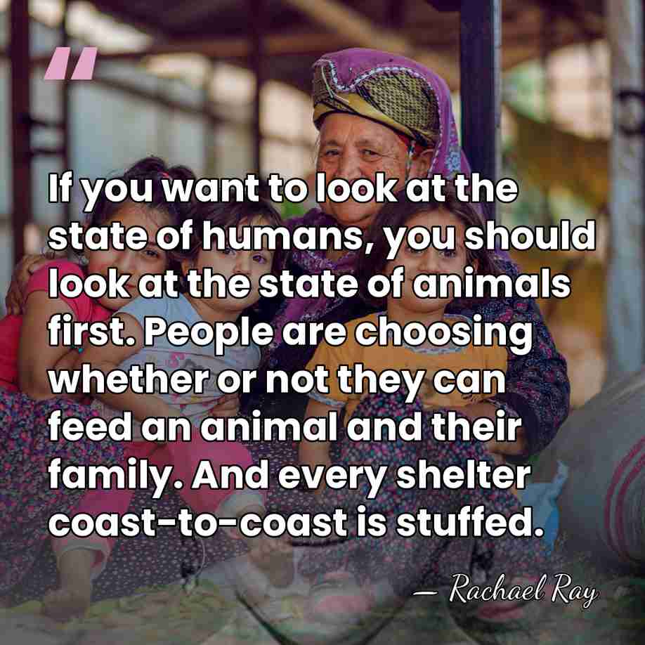 If you want to look at the state of humans, you should&hellip; - Rachael Ray