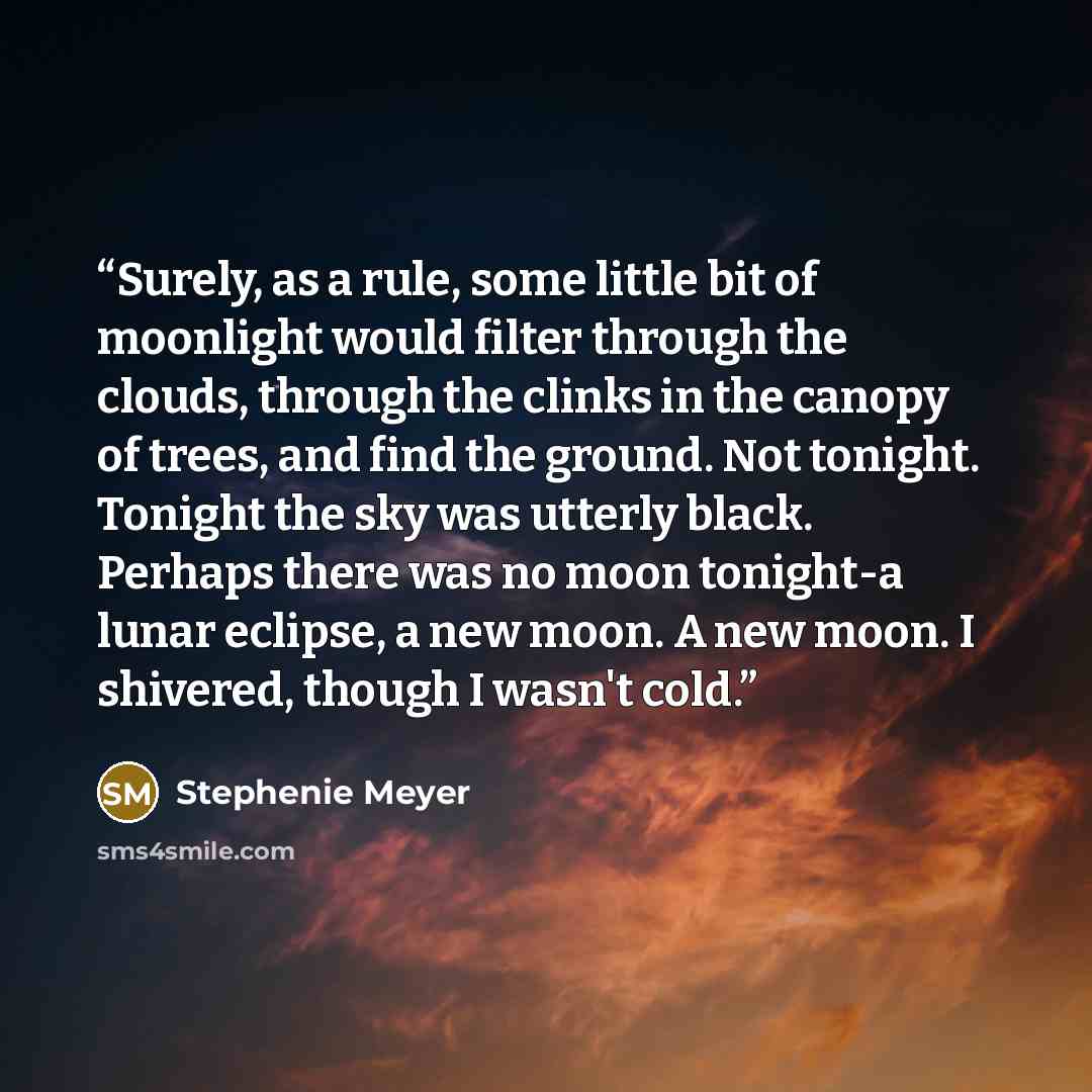 “Surely, as a rule, some little bit of moonlight would filter through the clouds, through the clinks in the canopy of trees, and find the ground. Not tonight. Tonight the sky was utterly black. Perhaps there was no moon tonight-a lunar eclipse, a new moon. A new moon. I shivered, though I wasn't…” quote by Stephenie Meyer