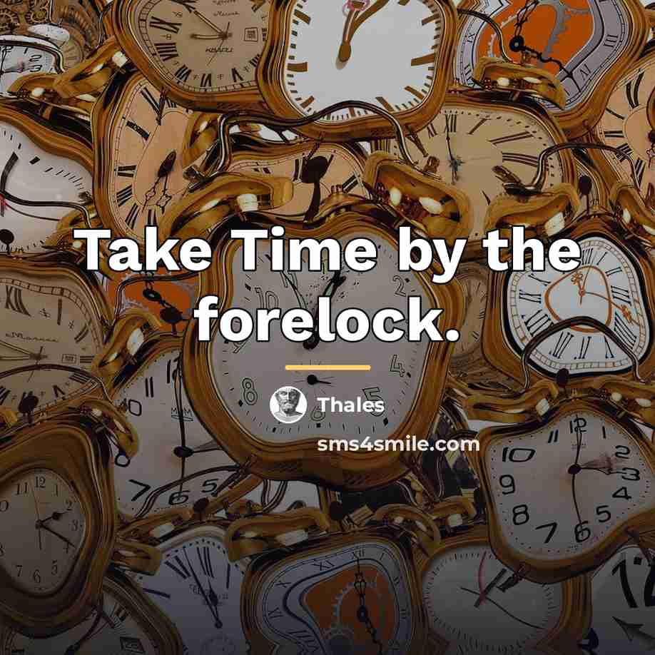 “Take Time by the forelock.…” quote by Thales