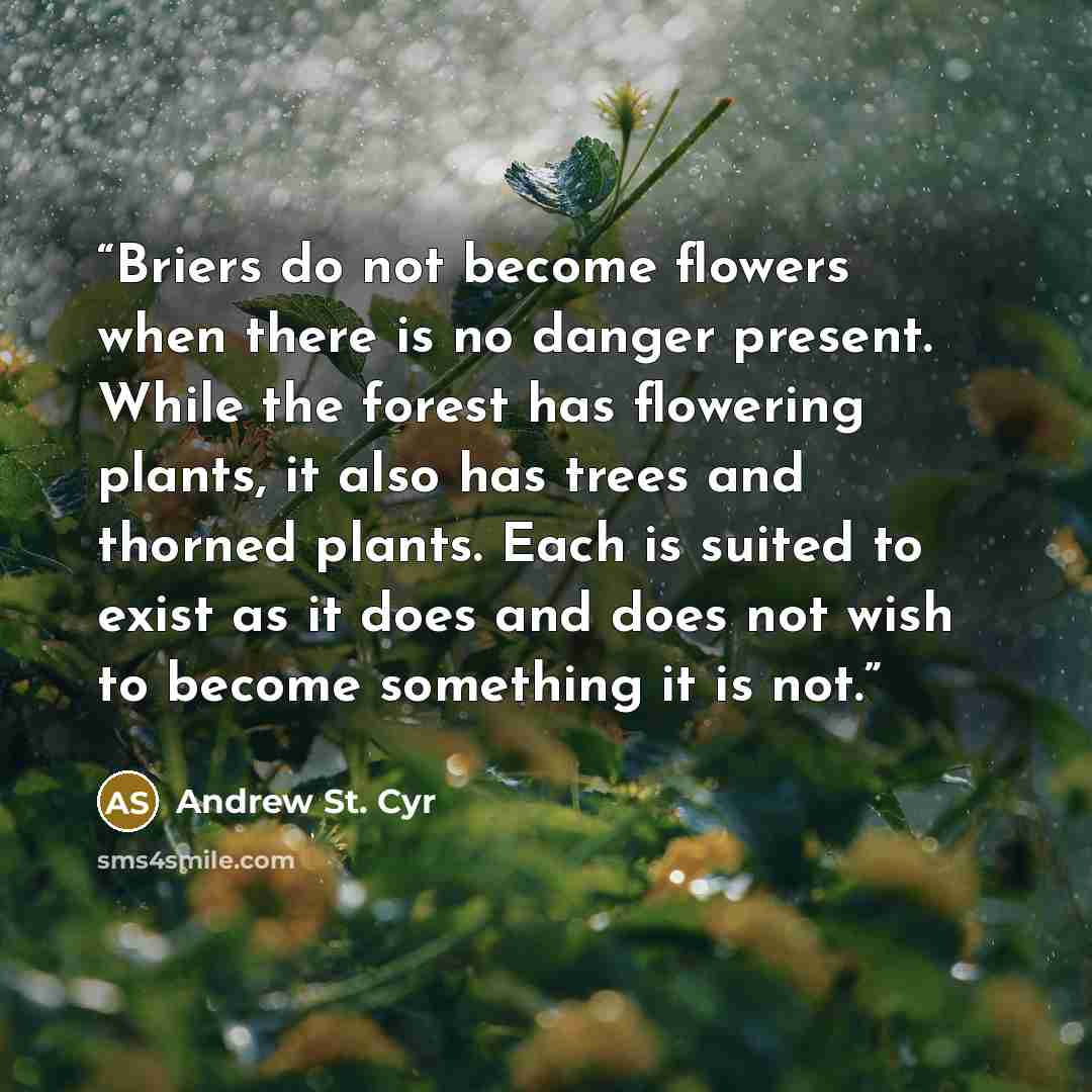 “Briers do not become flowers when there is no danger present. While the forest has flowering plants, it also has trees and thorned plants. Each is suited to exist as it does and does not wish to become something it is not.” quote by Andrew St. Cyr