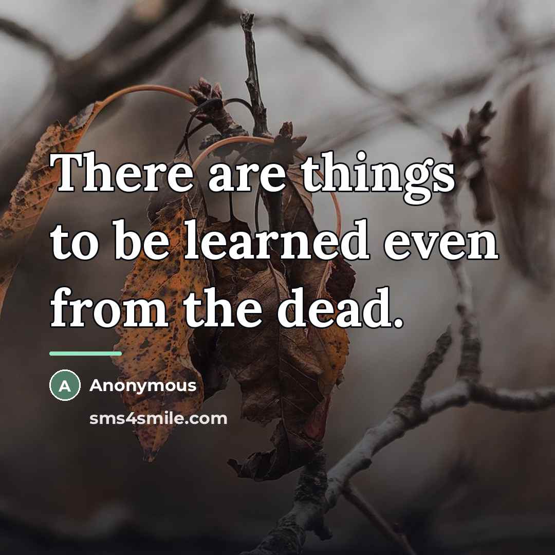 “There are things to be learned even from the dead.…” quote by Anonymous