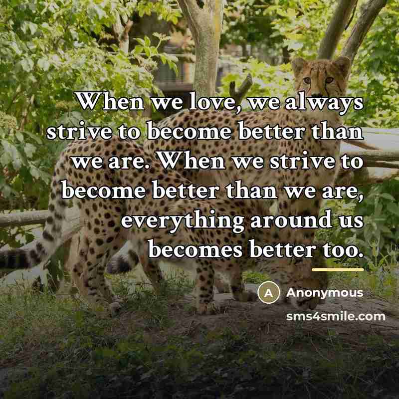 “When we love, we always strive to become better than…” quote by Anonymous