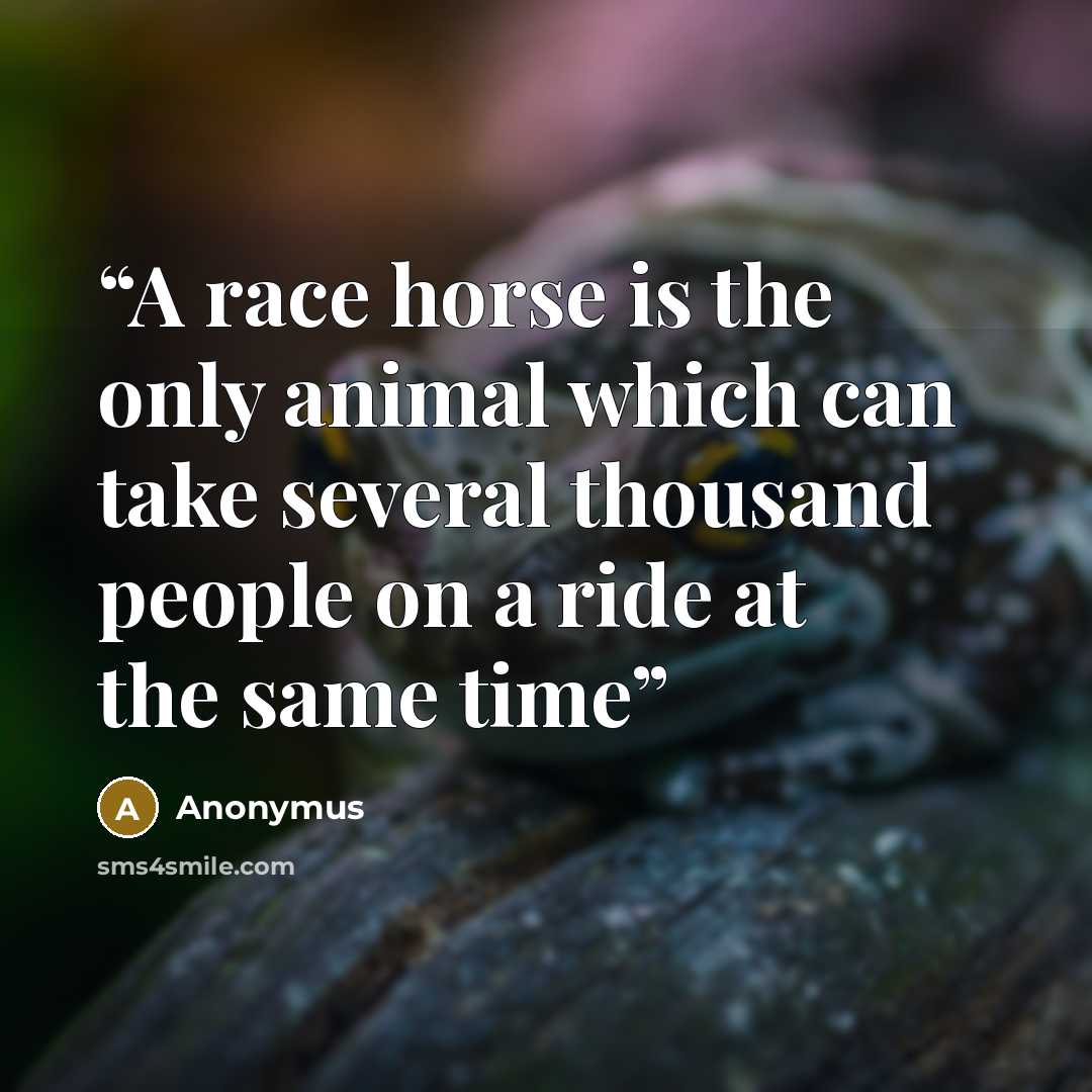 “A race horse is the only animal which can take several thousand people on a ride at the same time” quote by Anonymus