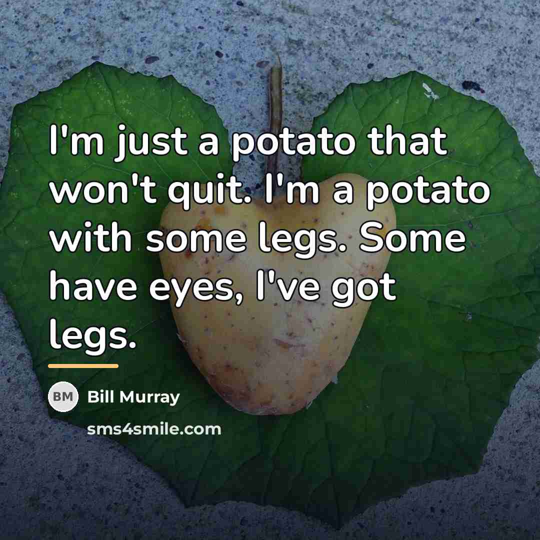 “I'm just a potato that won't quit. I'm a potato…” quote by Bill Murray