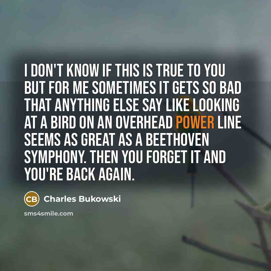 “I don't know if this is true to you but…” quote by Charles Bukowski