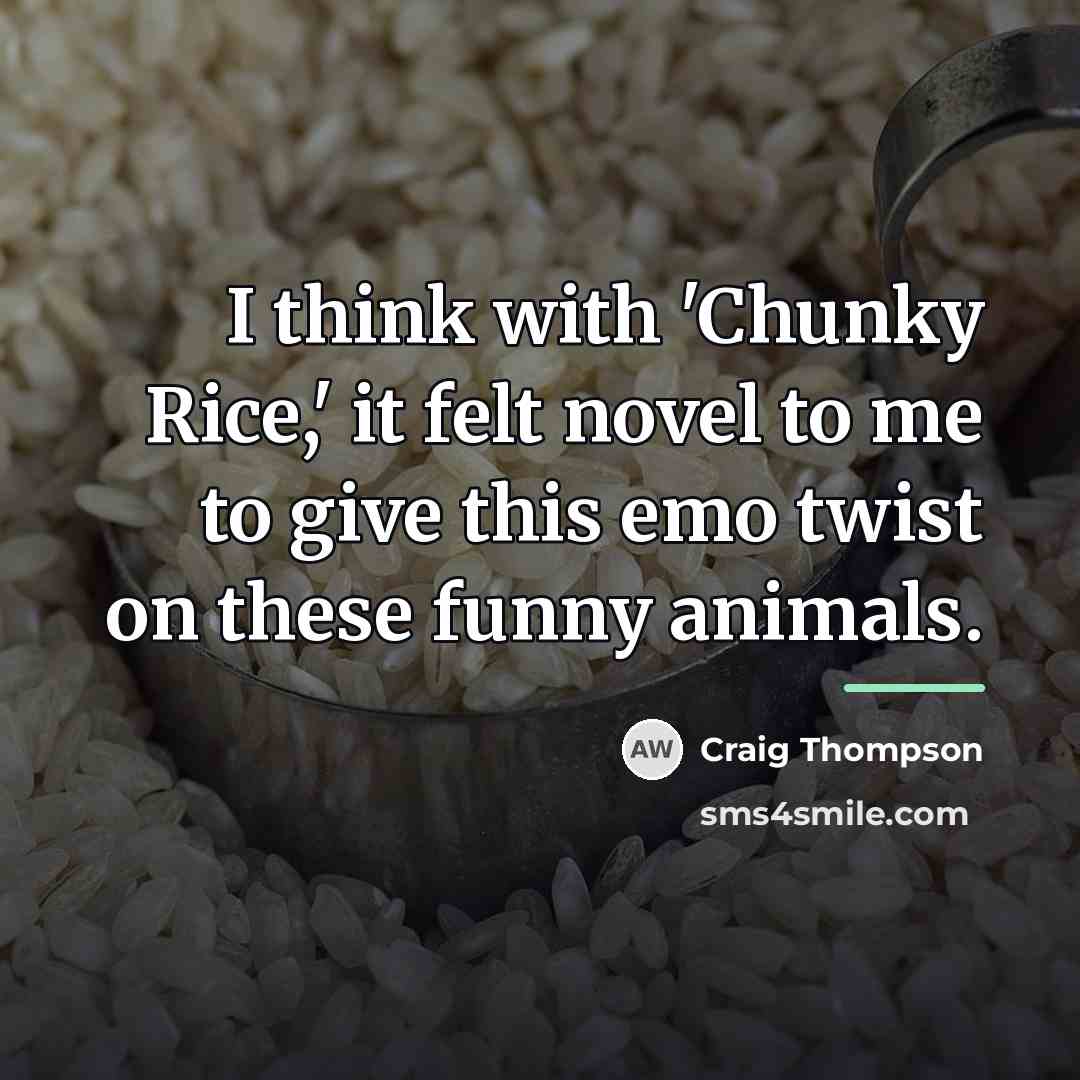 “I think with 'Chunky Rice,' it felt novel to me…” quote by Craig Thompson