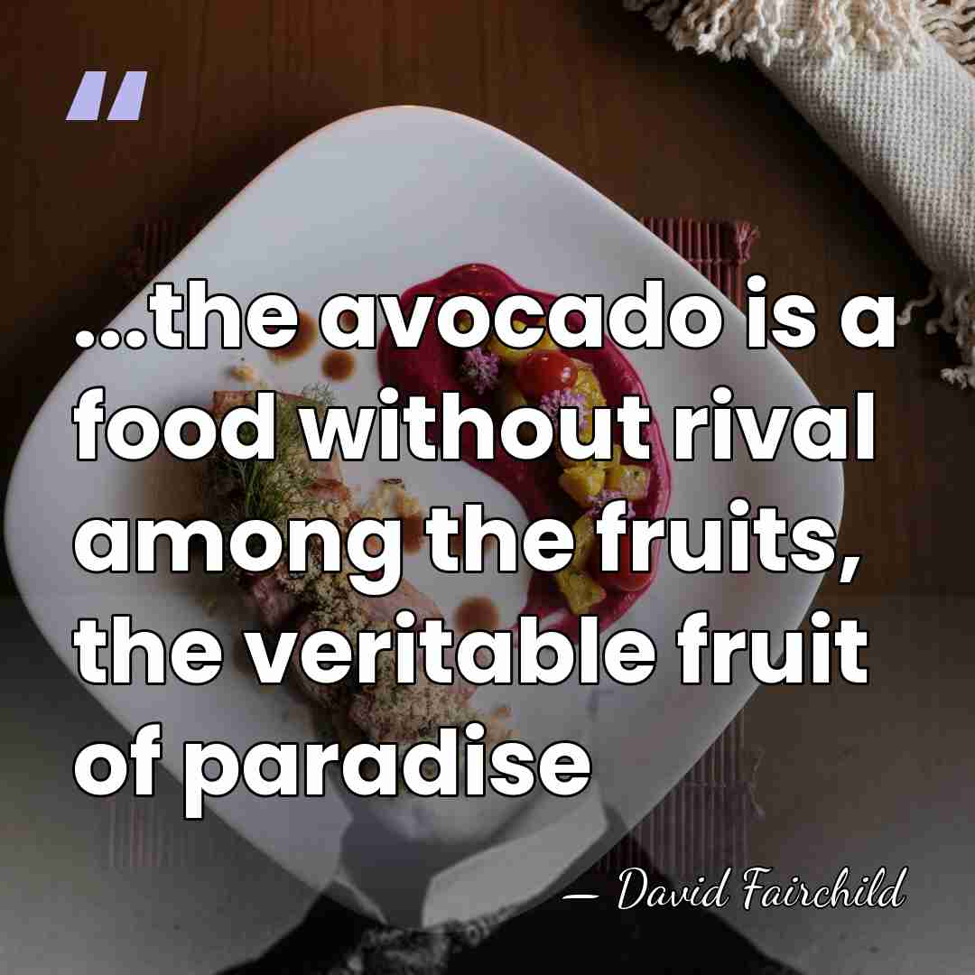 ...the avocado is a food without rival among the fruits, the veritable&hellip; - David Fairchild