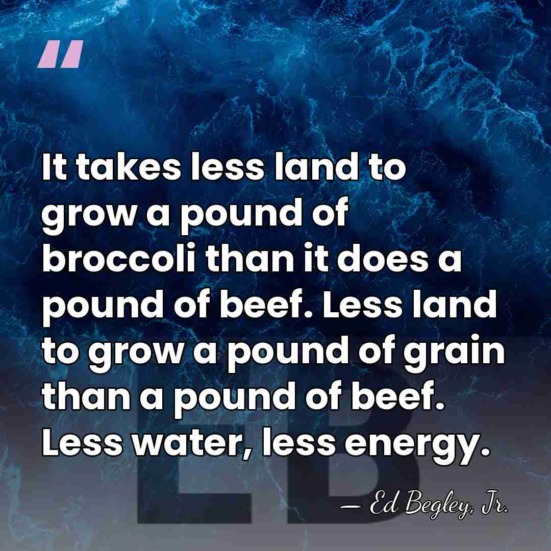 It takes less land to grow a pound of broccoli than it&hellip; - Ed Begley, Jr.