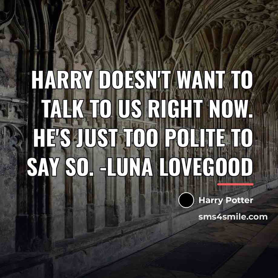 “Harry doesn't want to talk to us right now. He's…” quote by Harry Potter