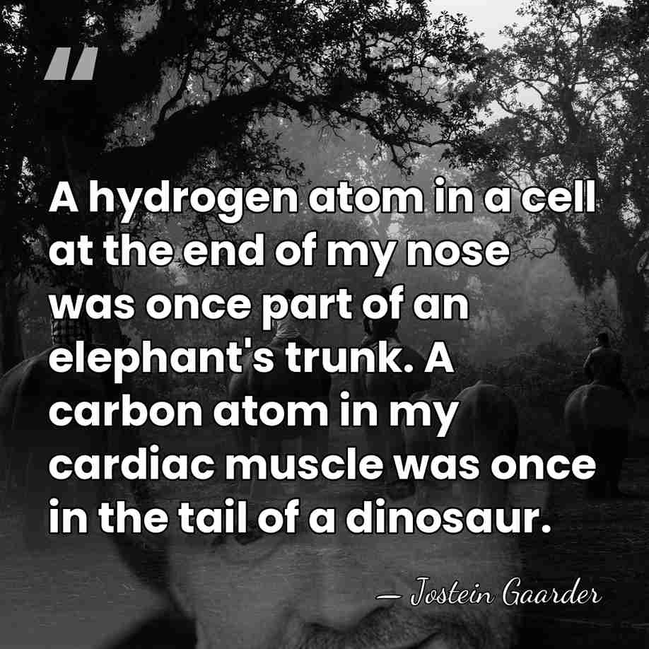 A hydrogen atom in a cell at the end of my nose&hellip; - Jostein Gaarder