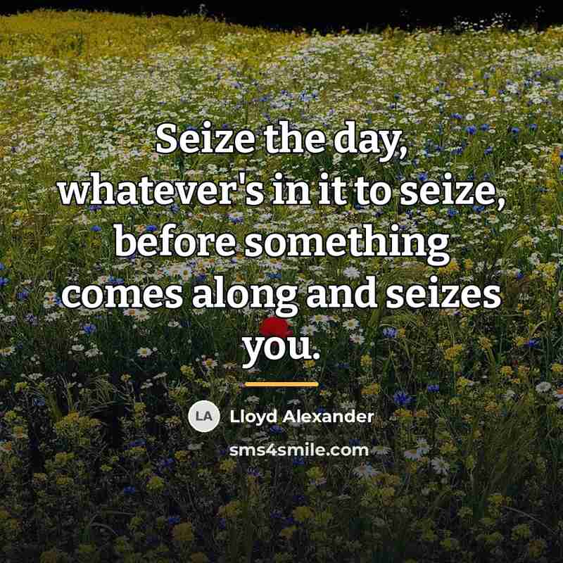 “Seize the day, whatever's in it to seize, before something…” quote by Lloyd Alexander