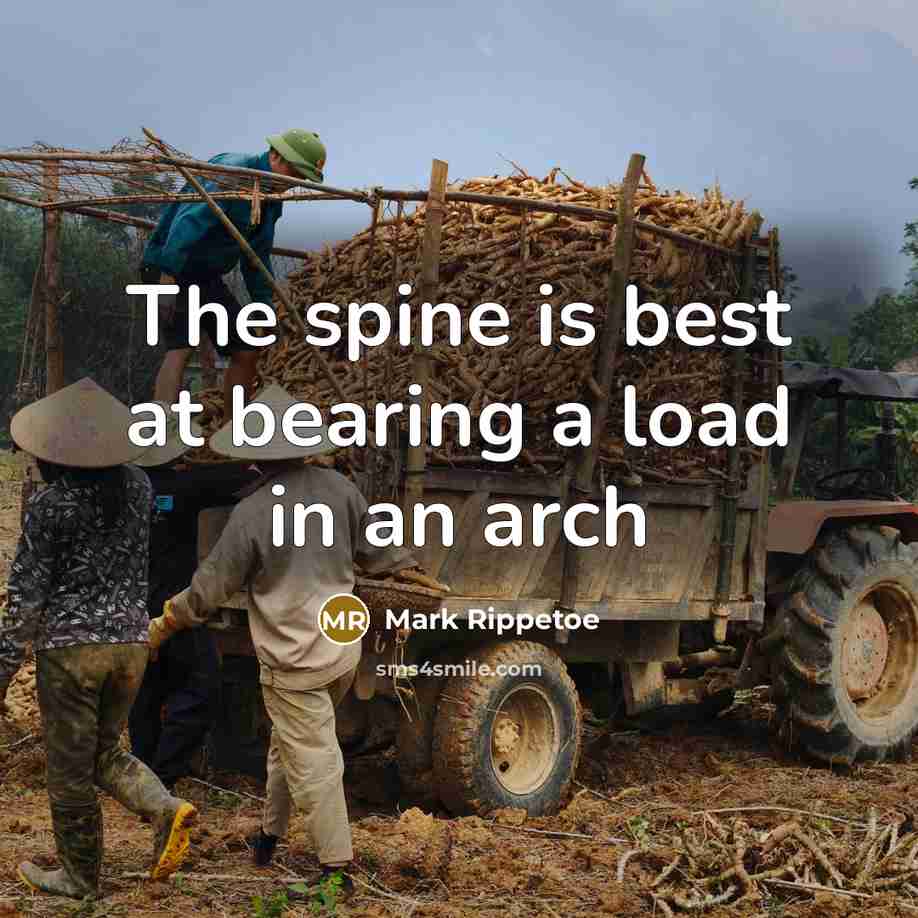 “The spine is best at bearing a load in an…” quote by Mark Rippetoe