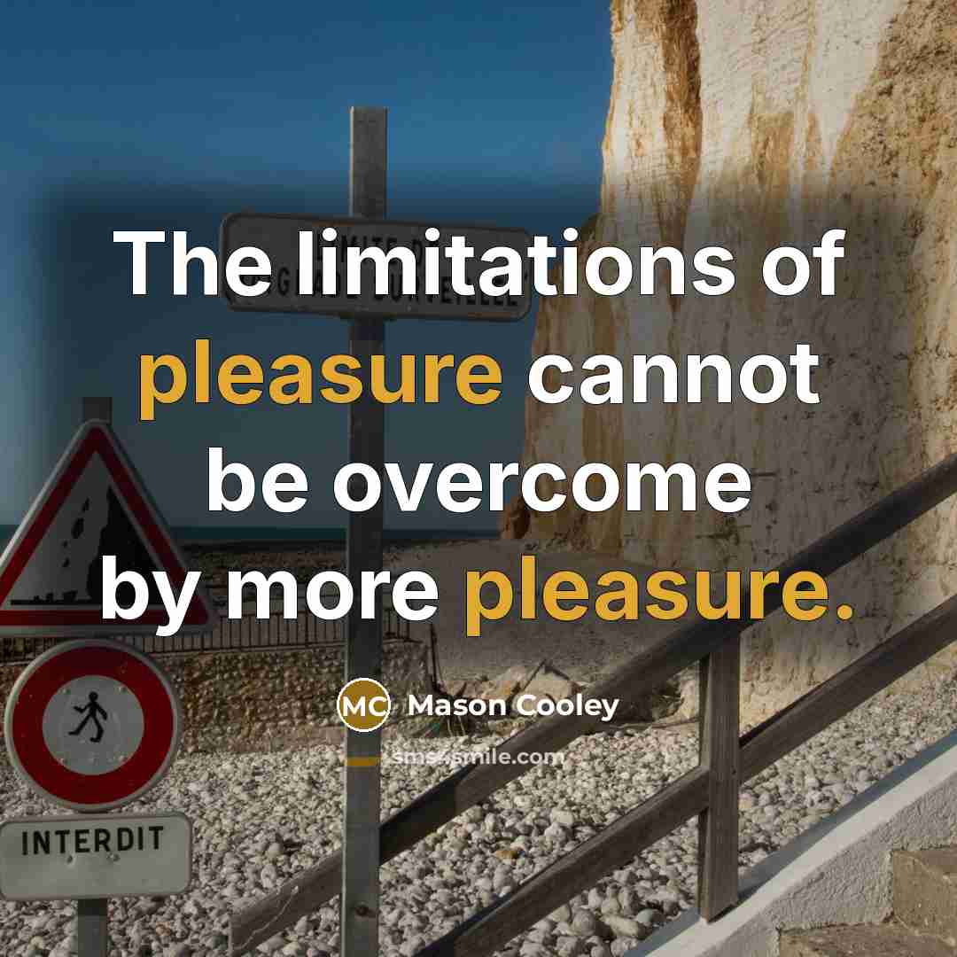 “The limitations of pleasure cannot be overcome by more pleasure.…” quote by Mason Cooley