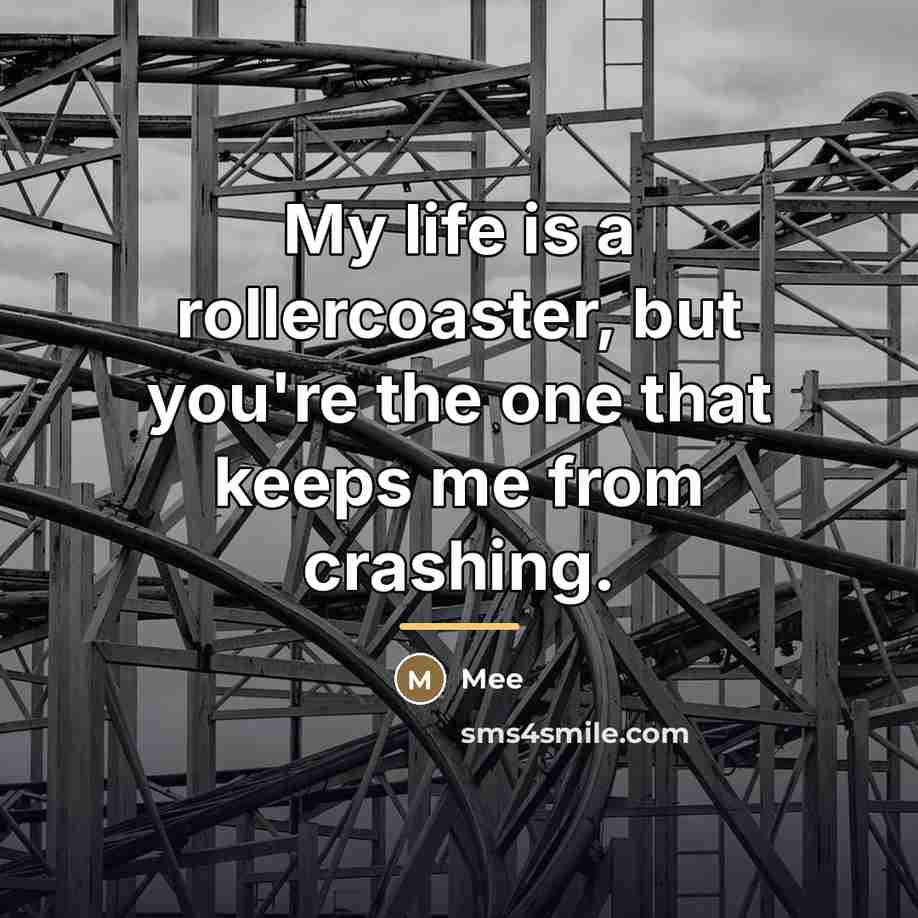 “My life is a rollercoaster, but you're the one that…” quote by Mee