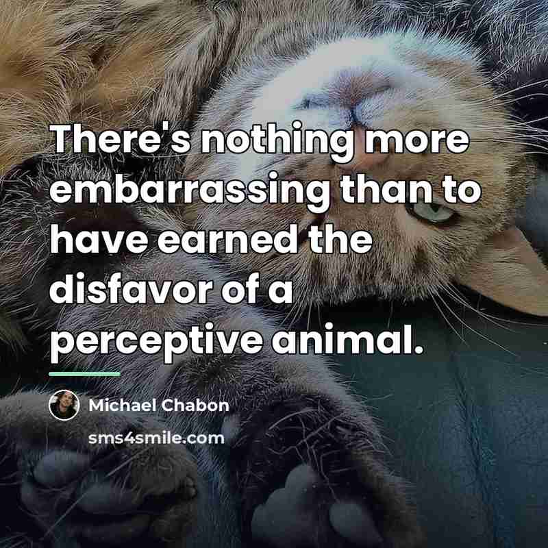 “There's nothing more embarrassing than to have earned the disfavor…” quote by Michael Chabon