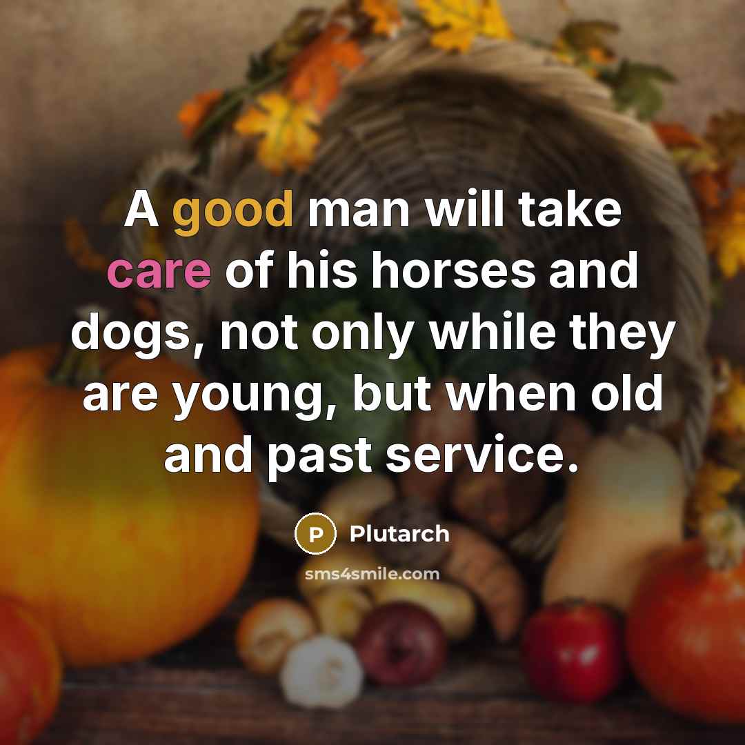 “A good man will take care of his horses and…” quote by Plutarch