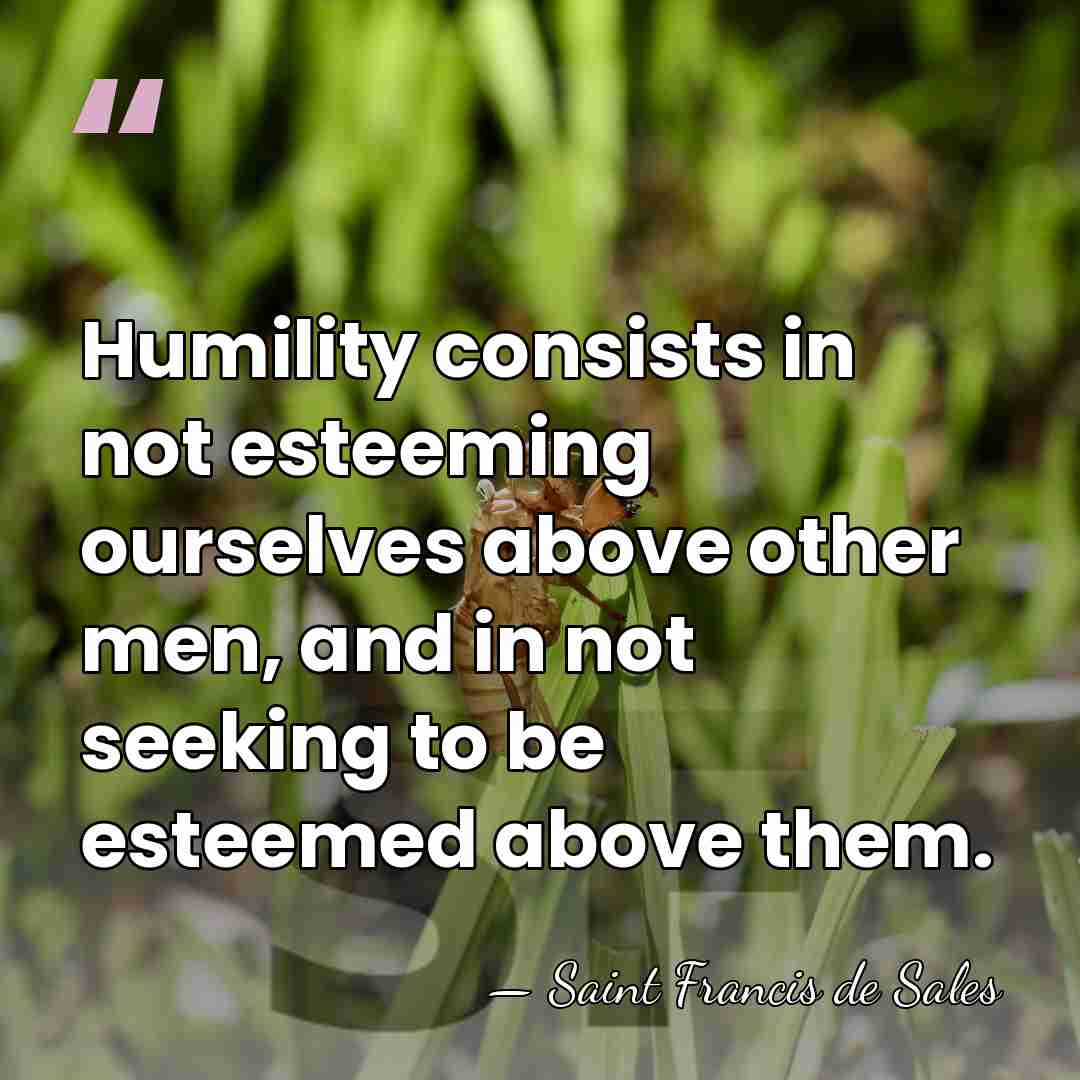 Humility consists in not esteeming ourselves above other men, and in not&hellip; - Saint Francis de Sales