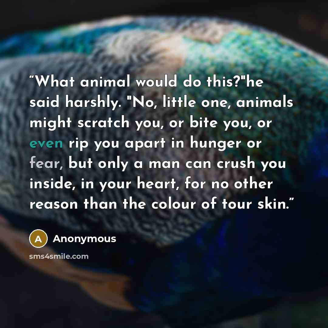 “What animal would do this?"he said harshly. "No, little one, animals might scratch you, or bite you, or even rip you apart in hunger or fear, but only a man can crush you inside, in your heart, for no other reason than the colour of tour skin.” quote by Anonymous
