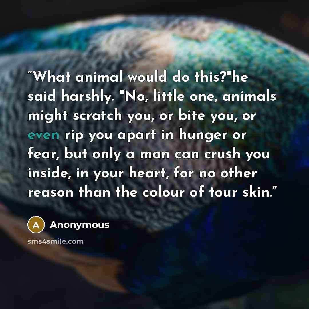 “What animal would do this?"he said harshly. "No, little one, animals might scratch you, or bite you, or even rip you apart in hunger or fear, but only a man can crush you inside, in your heart, for no other reason than the colour of tour skin.” quote by Anonymous